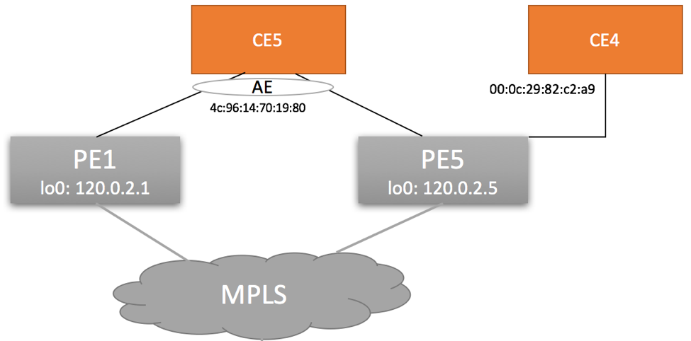 EVPN MPLS Topology Diagram (RFC 7432 Explained)