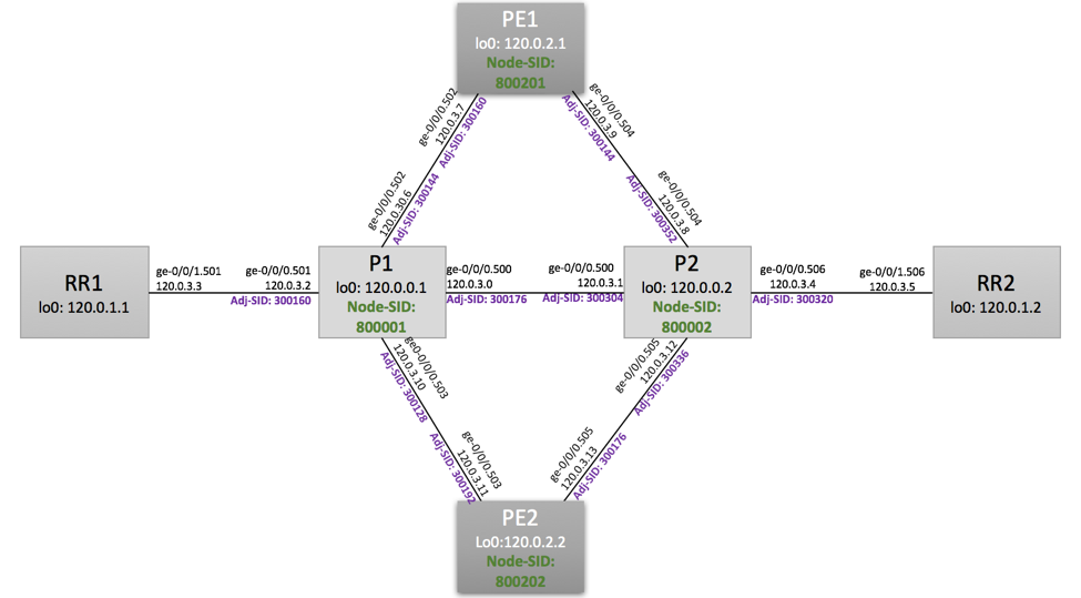 Segment Routing SID assignments